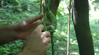 Французский схватывающий узел (обучение) / French grasping knot (training)