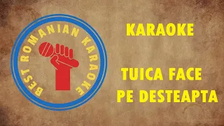 KARAOKE: N. Paleru - Tuica face pe desteapta Versuri Negativ