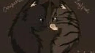 Warrior Cats Forbiden Couples - Everytime We Touch