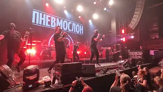 Пневмослон - Катастрофический пиздец (Live @ Base Fest, Moscow. 2023.08.26)