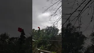 Rainy Weather 🌧️☔🌪️|| #nature #weather #shortsfeed #viral #youtubeshorts #shorts #rain #barish