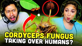 Could Cordyceps Fungus Really Take Over REACTION! | Real Science