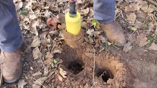 Cutting Roots with New Auger System, The Augie Pro