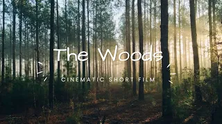 THE WOODS | Cinematic short Film