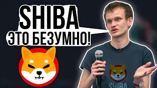 "ВАЖНО" СЕКРЕТ ШИБА РАСКРЫТ! ОНИ ГОВОРЯТ О МАССИВНОМ РОСТЕ!