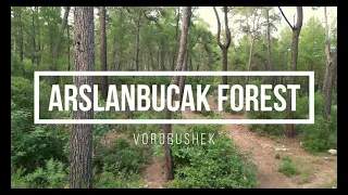 DJI Mini 3 PRO. 4K video. Arslanbucak forest, Kemer/Antalya, Turkiye.