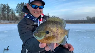 Ice Fishing Minnesota for Trophy Bluegills - In Depth Outdoors TV S16 E4