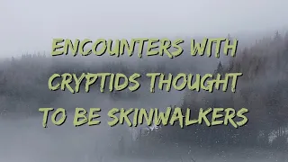 Encounters with Cryptids Thought to be Skinwalkers