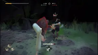 Absolver fight