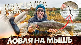 Ловля ФОРЕЛИ на МЫШЬ. Рыбалка с #OnlySpin