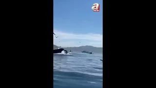 Whale swallows two women, then spits them unharmed