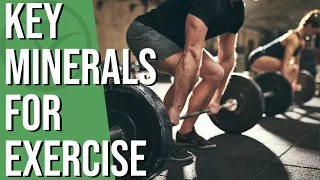 Minerals we Need for Exercise and Where to find them