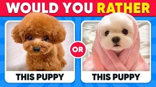 Would You Rather...? ANIMALS Edition 🐶😺 Quiz Kingdom