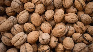 Walnut Prices: What Growers Can Expect in the Near Future