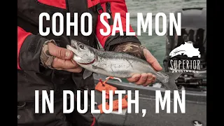 How we troll for Coho Salmon on Lake Superior!