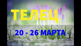 ♉ТЕЛЕЦ. Таро прогноз на неделю 20 - 26 МАРТА. Новолуние в Овне и день весеннего равноденствия.