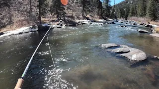 Hike & Fish Remote Backcountry River! (Fly Fishing Colorado)