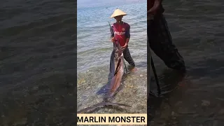 IKAN MARLIN MONSTER #nelayansamudra