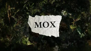 OXXXYMIRON — МОХ 10 ЧАСОВ