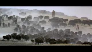 Buffalo Hunt -- Dances With Wolves