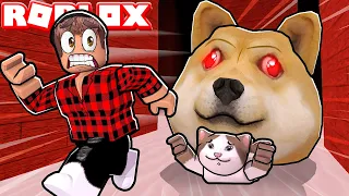 CES TÊTES GÉANTE DE CHIENS FOUS ME CHASSE PARTOUT 😭 !!! (Roblox Doge Head Escape)