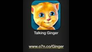 Talking Ginger d.s