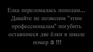 Елка на площади упала и переломалась пополам