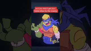 F! Leo is mad at his past self ROTTMNT movie AU