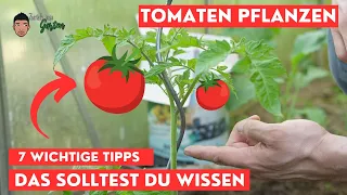 Tomaten einpflanzen - Das solltest du wissen!