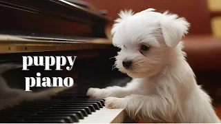 puppy piano