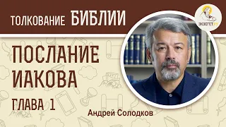 Послание апостола Иакова. Глава 1. Андрей Солодков. Новый Завет