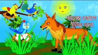 টুনির বাসা ঘাসের ঝোপে  | tunir basha ghasher jhope | tunir cartoon | shiyal ar cartoon | tuni