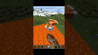 100 Fox Vs 1 Chicken | Wait For End | Minecraft | #Minecraft #Shorts