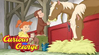 Curious George 🐵 George and Allie's Farm Adventure 🐵 Kids Cartoon 🐵 Kids Movies