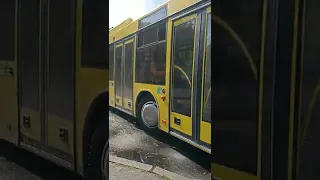МАЗ-215 #4667 №99 #shorts #киев #shortvideo #kyiv #украина #kiev #автобус #bus #short #ukraine #like