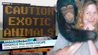 When Pets Become Deadly: Travis the Chimp and the Zanesville Zoo Escape