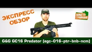 Обзор GC16 Predator от G&G