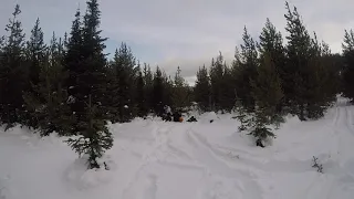 Crowsnest Pass Stuck