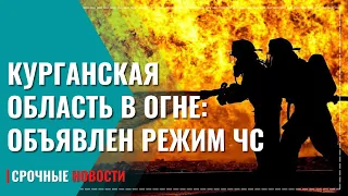 В Курганской области введен режим ЧС