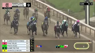 Laurel Park Carrera 9 (The Maryland Million Nursery S.) - 14 de Octubre 2023