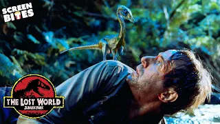 Stark Is Attacked By a Pack of Compsognathus | The Lost World: Jurassic Park (1997) | Screen Bites