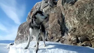 Помогай весне, ешь снег!