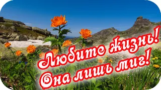 Доброе утро!❤️ Любите жизнь! ❤️Она лишь миг! ❤️Красивая видеооткрытка ❤️Good morning❤️