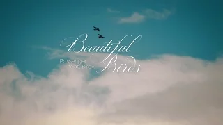 Lyrics - Vietsub || Passenger feat. Birdy - Beautiful Birds