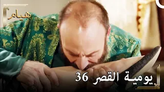 يوميات القصر 36 | لقد امتص السم من ساق إيزابيلا