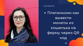 Платинкоин как вывести монеты из кошелька на ферму через QR код