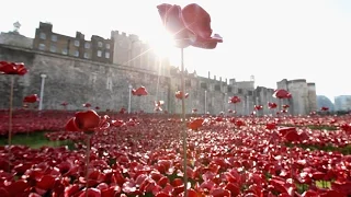 Riding the wave: drone-view of Tower of London poppy field