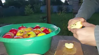 Нарезаю урожай яблок для отжима сока