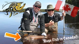 Fly Fishing Canada| Bucket List Brook Trout
