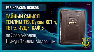 📖 Теилим 119 - Тайный Смысл. Часть 4. Буквы ХЕТ ח, ТЕТ ט, ЙУД י, КАФ כ. Рав Исраэль Якобов